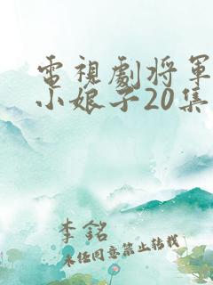 电视剧将军家的小娘子20集至40集