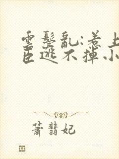 云鬓乱:惹上奸臣逃不掉小说免费阅读