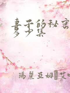 妻子的秘密一共多少集