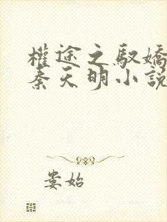 权途之驭娇有术秦天明小说免费阅读