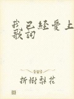 我已经爱上你了歌词