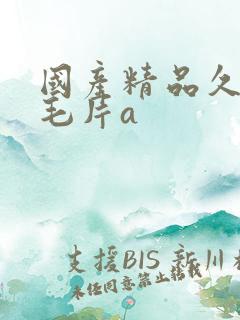 国产精品久久久毛片a
