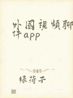 外国视频聊天软件app