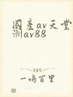国产av天堂亚洲av88