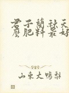 君子兰秋天施什么肥料最好