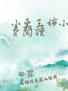 小东王婶小说免费阅读