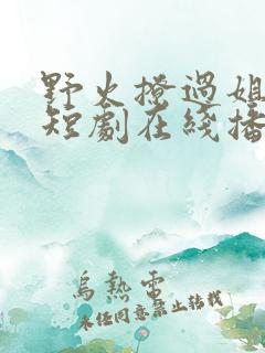 野火撩过姐姐心短剧在线播放
