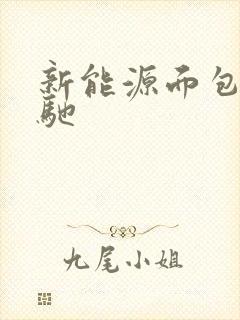 新能源面包车瑞驰