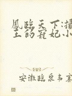 凤临天下:摄政王的宠妃小说