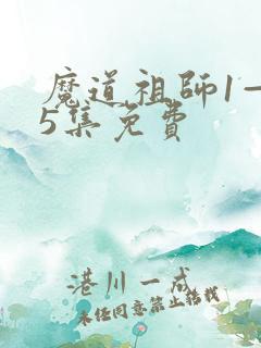 魔道祖师1—35集免费