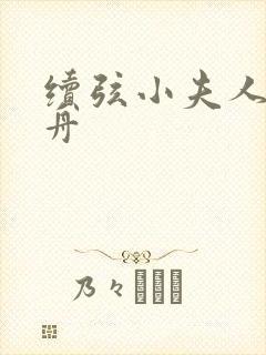 续弦小夫人江摇舟