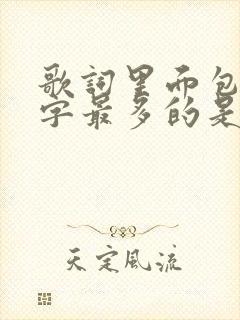 歌词里面包含我字最多的是哪首歌