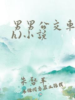 男男公交车强(h)小说 男男公交车强(h)小说