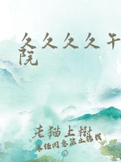 久久久久午夜影院