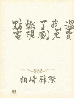 点燃了我温暖你电视剧免费观看全集