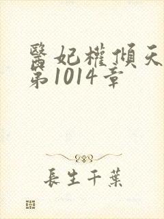 医妃权倾天下 第1014章