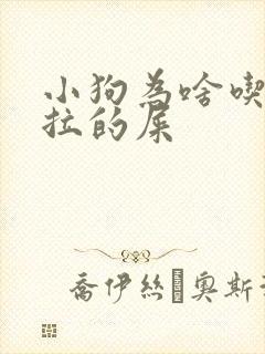 小狗为啥吃自己拉的屎