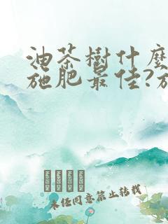 油茶树什么时候施肥最佳?施什么肥最好?