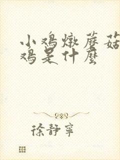 小鸡炖蘑菇的小鸡是什么