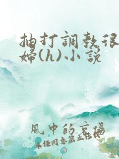 抽打调教很虐贱妇(h)小说 抽打调教很虐贱妇(h)小说