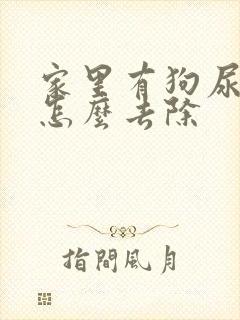 家里有狗尿骚味怎么去除