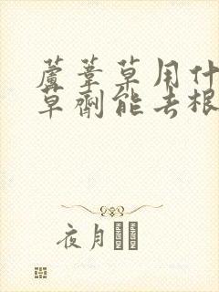 芦苇草用什么除草剂能去根