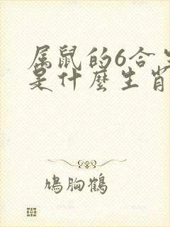 属鼠的6合生肖是什么生肖