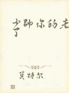 少帅你的老婆跑了