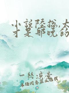 小说陆总,太太才是那晚的白月光