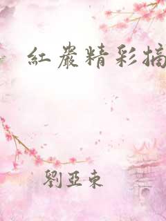 红岩精彩摘录