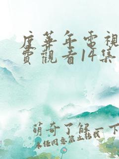 度华年电视剧免费观看14集