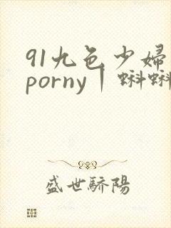 91九色少妇丨porny丨蝌蚪