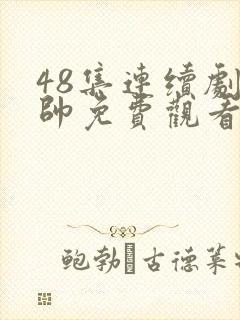 48集连续剧少帅免费观看高清
