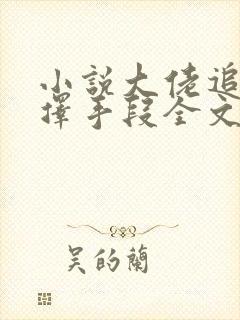 小说大佬追妻不择手段全文阅读
