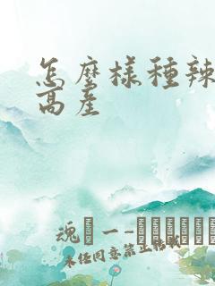 怎么样种辣椒才高产