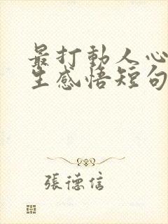 最打动人心的人生感悟短句