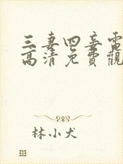 三妻四妾电视剧高清免费观看