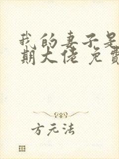 我的妻子是大乘期大佬 免费看