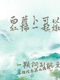 白萝卜可以和西红柿一起炖排骨吗