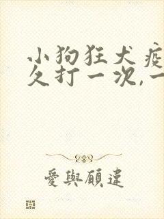 小狗狂犬疫苗多久打一次,一共打几次