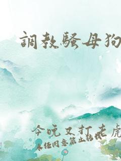 调教骚母狗高h
