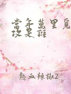 当年万里觅封侯攻是谁