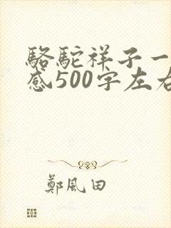骆驼祥子一读后感500字左右