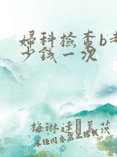 妇科检查b超多少钱一次