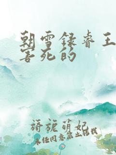 朝雪录睿王是谁害死的