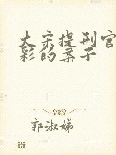 大宋提刑官最精彩的案子