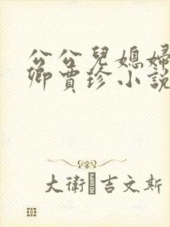 公公儿媳妇秦可卿贾珍小说免费阅读