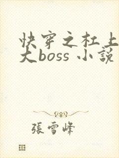 快穿之杠上反派大boss 小说