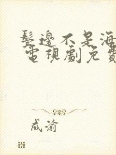 鬓边不是海棠红 电视剧免费观看