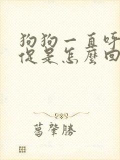 狗狗一直呼吸急促是怎么回事 狗狗一直呼吸急促是怎么回事